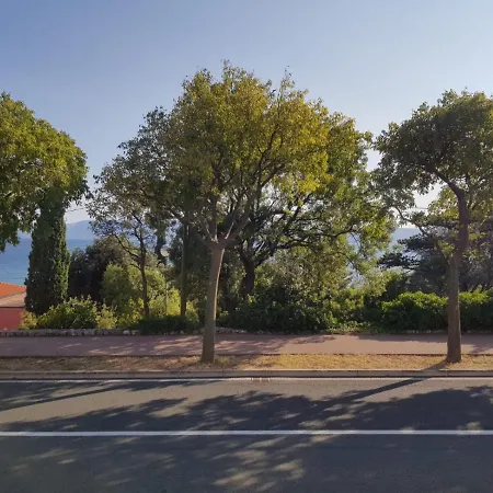 Kolaric * 노비비노돌스키