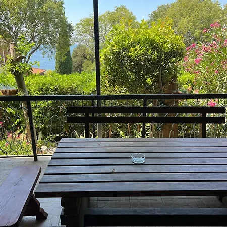 Kolaric * 노비비노돌스키